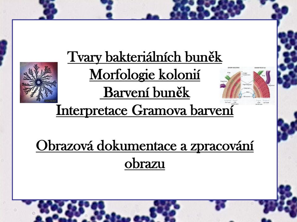 buněk Interpretace Gramova