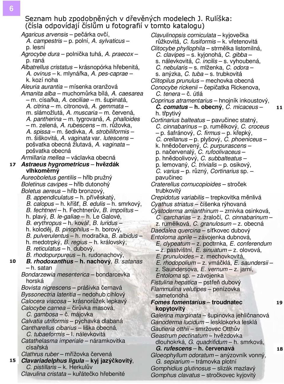 gibba p. raná s. nálevkovitá, C. incilis s. vyhoubená, Albatrellus cristatus krásnopórka hřebenitá, C. nebularis s. mlženka, C. odora A. ovinus k. mlynářka, A. pes-caprae s. anýzka, C. tuba s.
