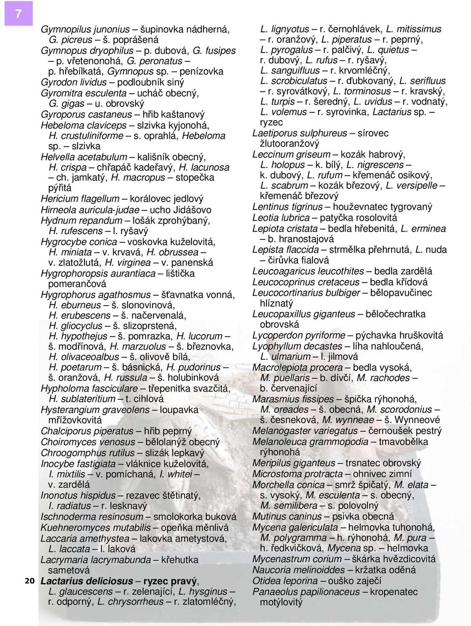 oprahlá, Hebeloma sp. slzivka Helvella acetabulum kališník obecný, H. crispa chřapáč kadeřavý, H. lacunosa ch. jamkatý, H.