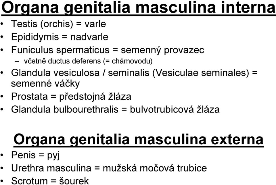 seminales) = semenné váčky Prostata = předstojná žláza Glandula bulbourethralis = bulvotrubicová žláza
