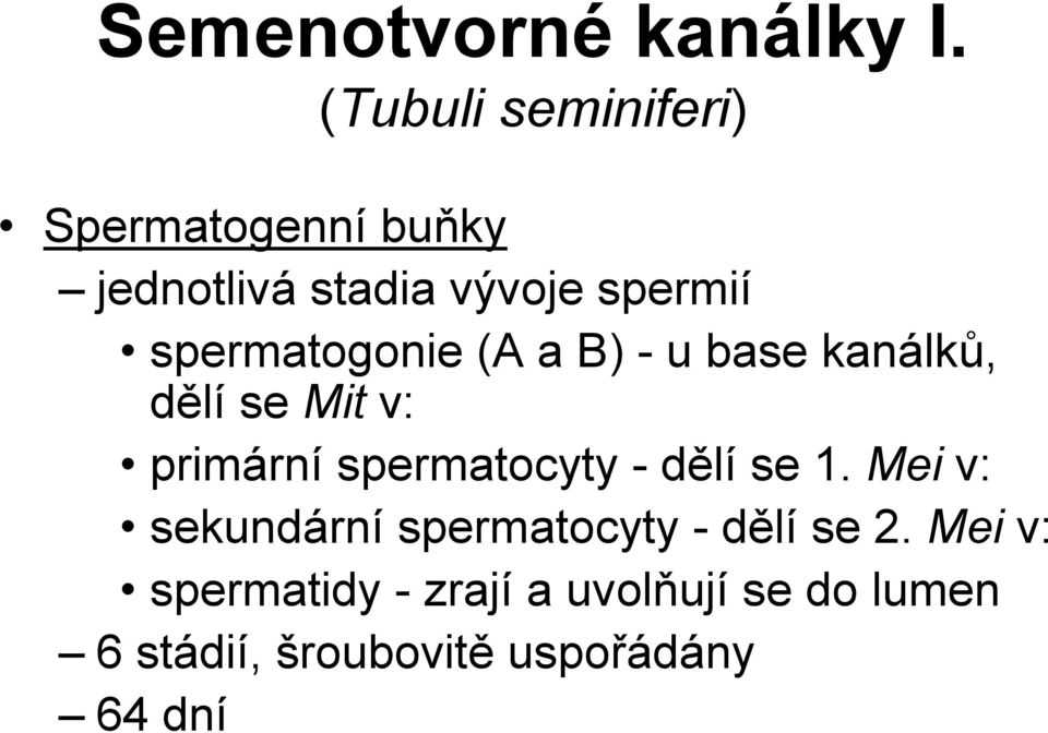 spermatogonie (A a B) - u base kanálků, dělí se Mit v: primární spermatocyty -