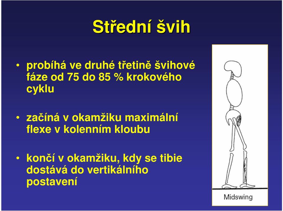 okamžiku maximální flexe v kolenním kloubu končí v