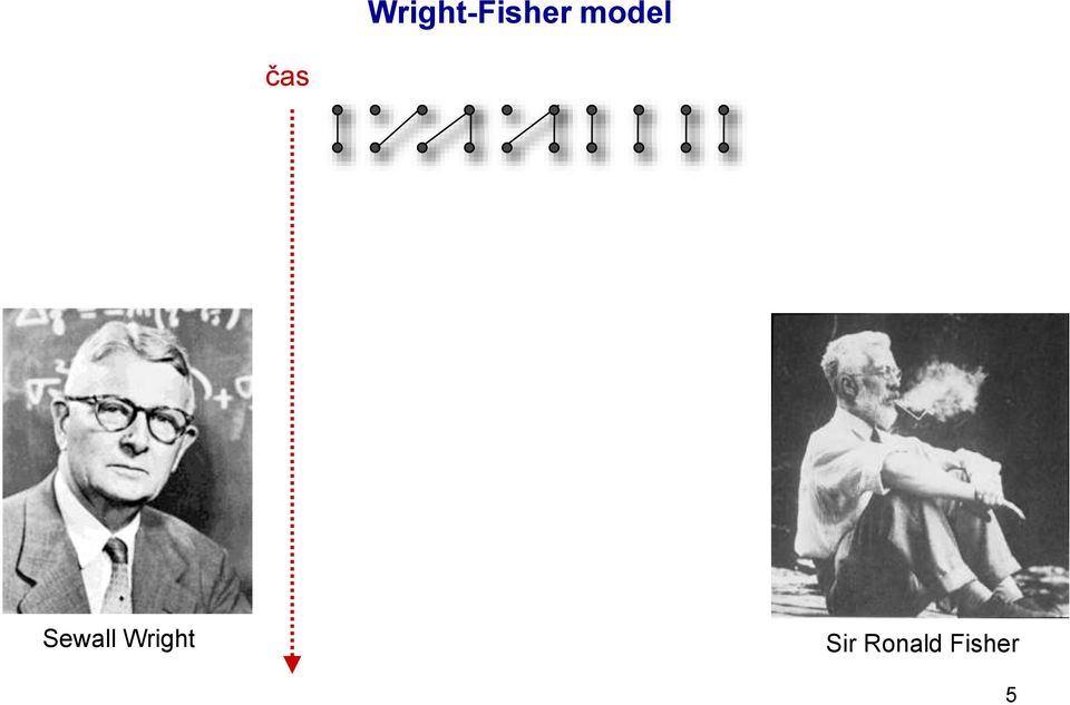 Sewall Wright
