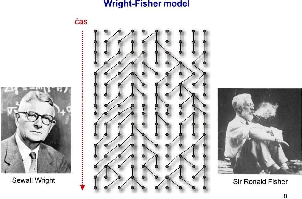 Sewall Wright
