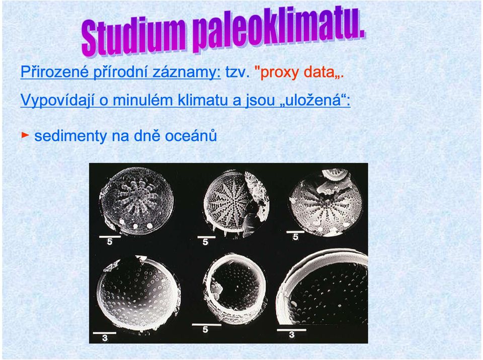 Vypovídají o minulém klimatu