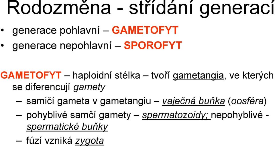 se diferencují gamety samičí gameta v gametangiu vaječná buňka (oosféra)