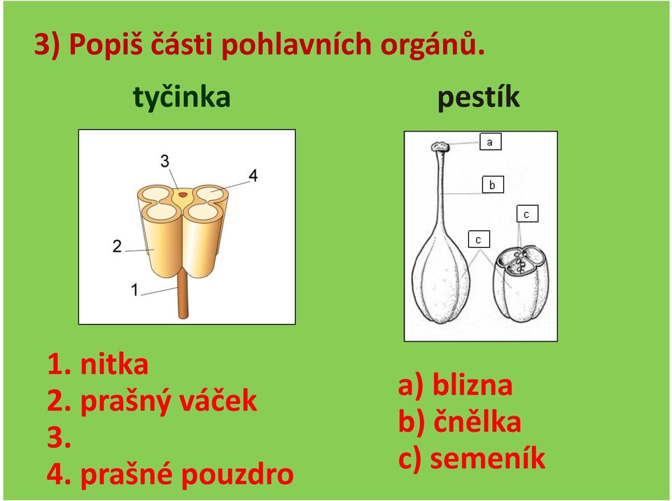 nitka 2. prašný váček 3. 4.