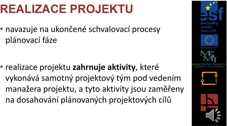 vykonává samotný projektový tým pod vedením manažera projektu,