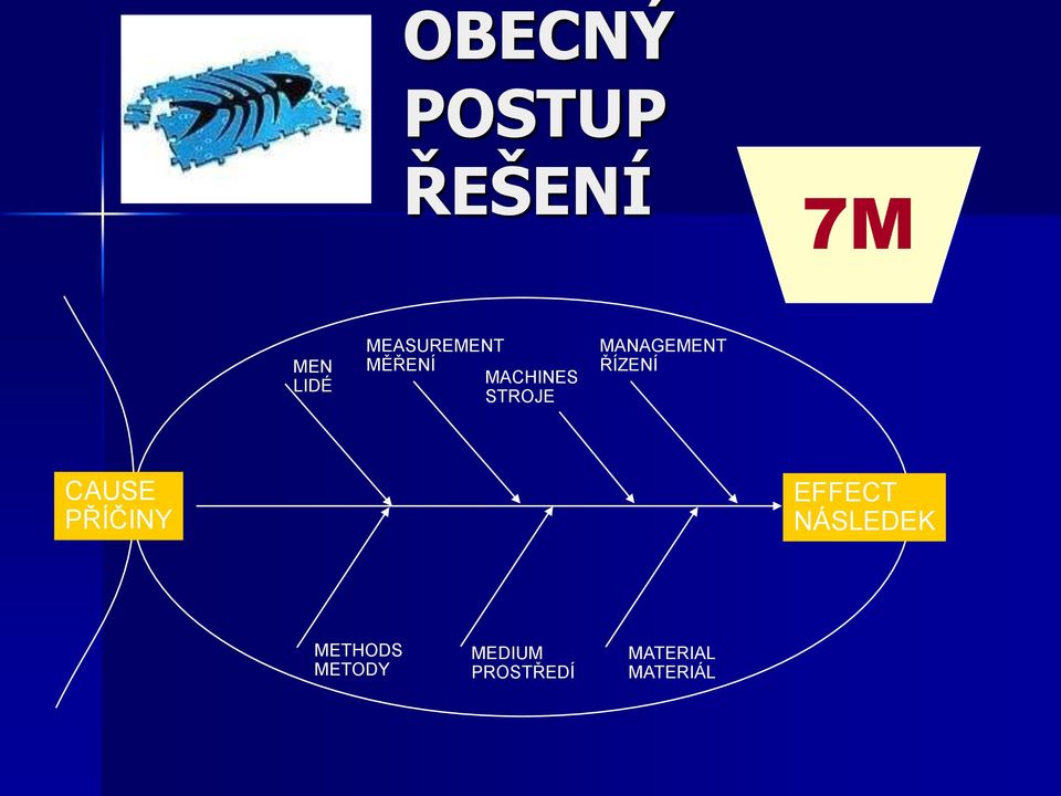 MANAGEMENT ŘÍZENÍ CAUSE PŘÍČINY EFFECT