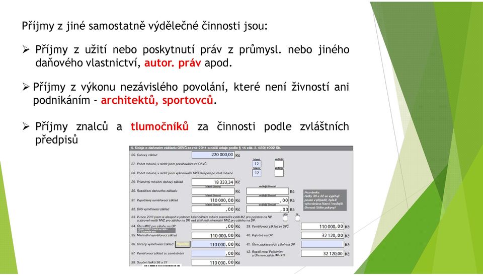 Příjmy z výkonu nezávislého povolání, které není živností ani podnikáním -