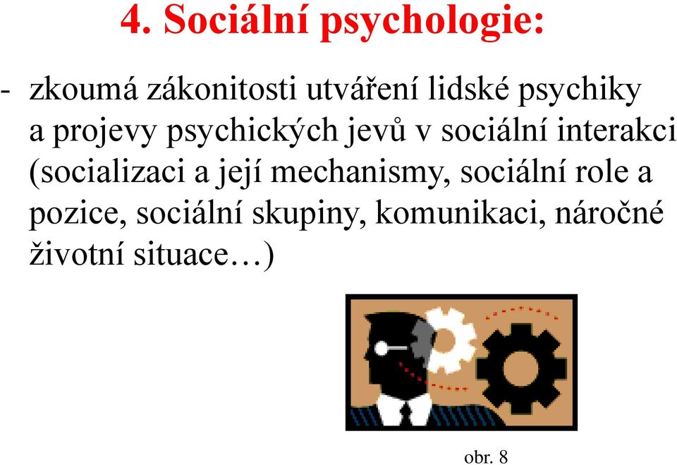 interakci (socializaci a její mechanismy, sociální role a