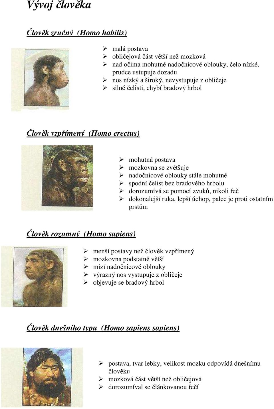 pomocí zvuků, nikoli řeč dokonalejší ruka, lepší úchop, palec je proti ostatním prstům Člověk rozumný (Homo sapiens) menší postavy než člověk vzpřímený mozkovna podstatně větší mizí nadočnicové