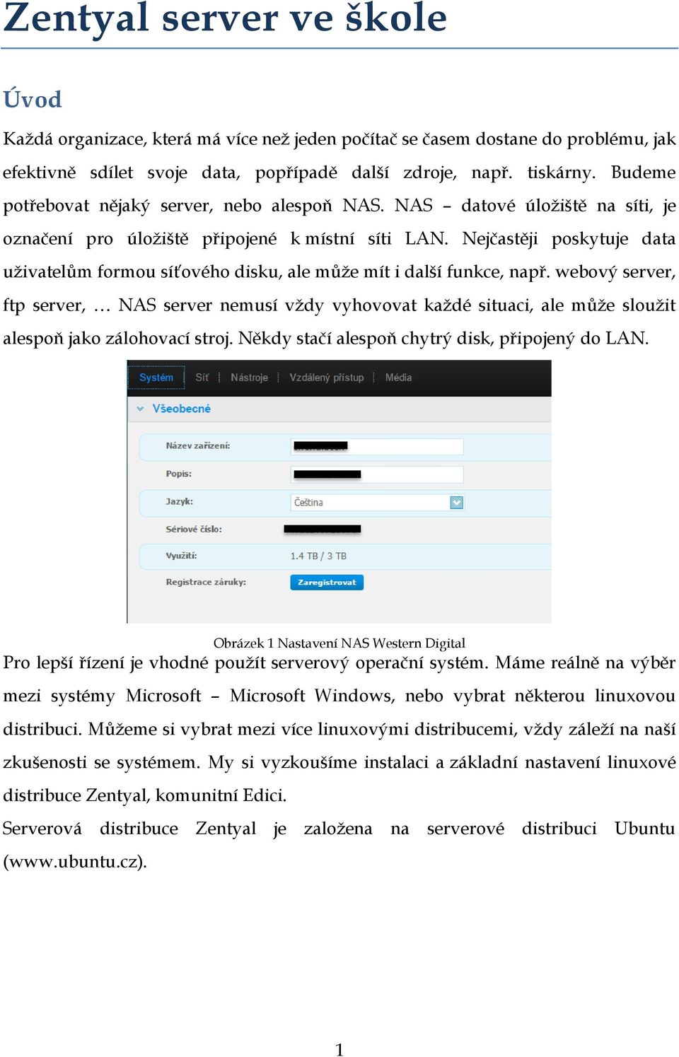 Nejčastěji poskytuje data uživatelům formou síťového disku, ale může mít i další funkce, např.