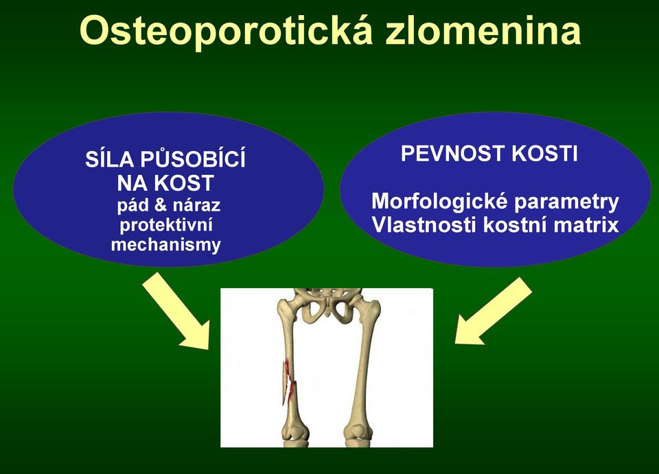 protektivní mechanismy PEVNOST