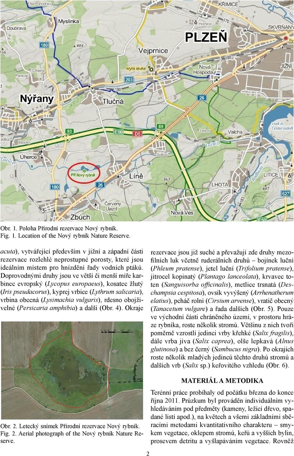 Doprovodnými druhy jsou ve větší či menší míře karbinec evropský (Lycopus europaeus), kosatec žlutý (Iris pseudacorus), kyprej vrbice (Lythrum salicaria), vrbina obecná (Lysimachia vulgaris), rdesno