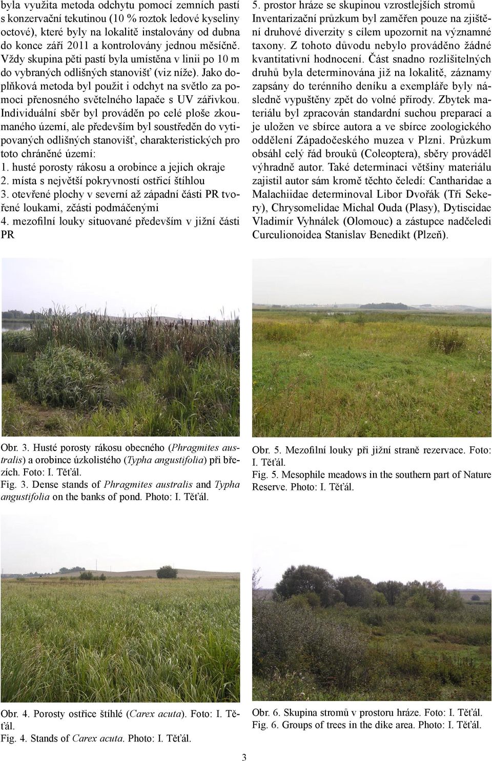 Jako doplňková metoda byl použit i odchyt na světlo za pomoci přenosného světelného lapače s UV zářivkou.