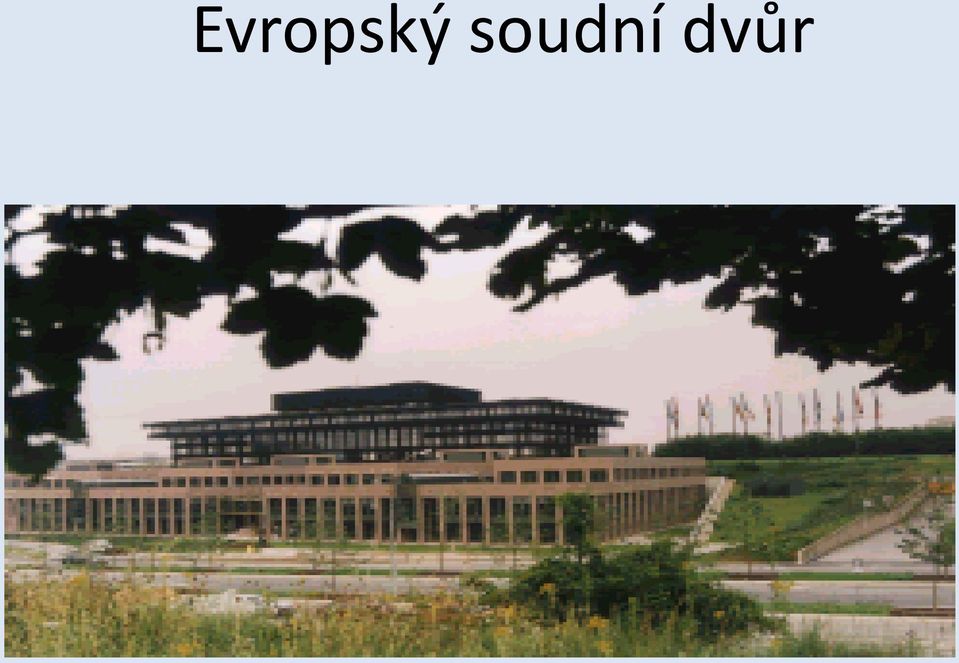 dvůr