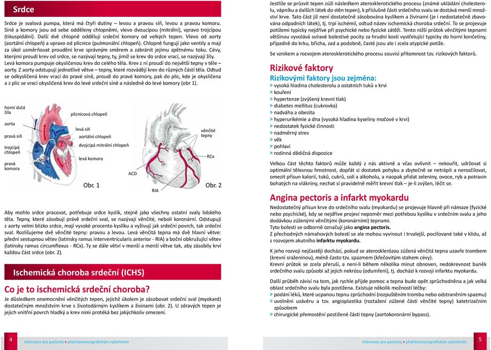 Vlevo od aorty (aortální chlopeň) a vpravo od plícnice (pulmonální chlopeň). Chlopně fungují jako ventily a mají za úkol usměrňovat proudění krve správným směrem a zabránit jejímu zpětnému toku.