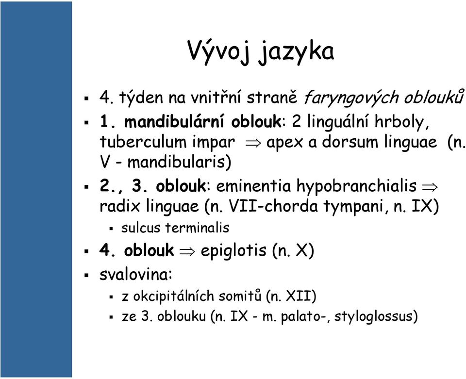 V - mandibularis) 2., 3. oblouk: eminentia hypobranchialis radix linguae (n.