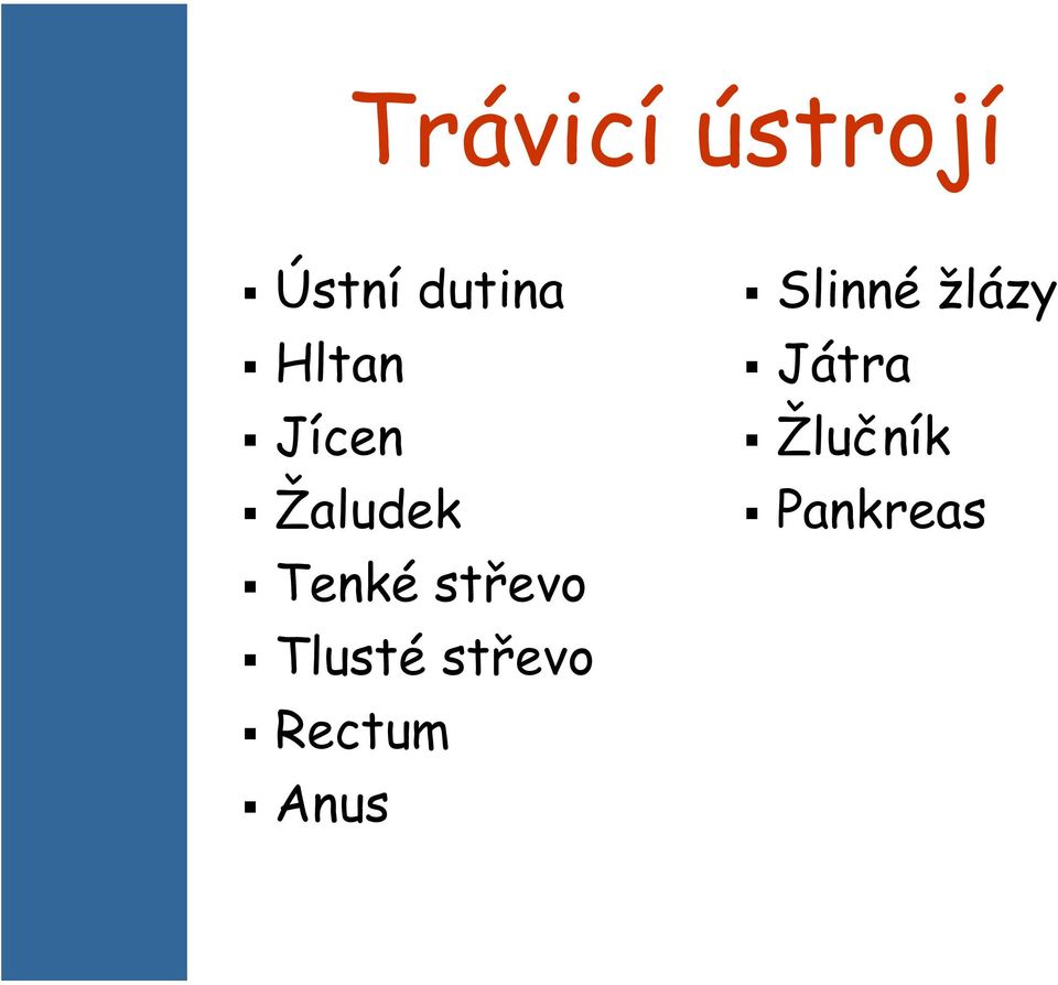 střevo Tlusté střevo Rectum