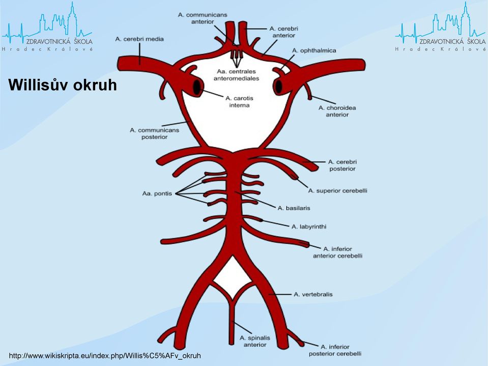 wikiskripta.