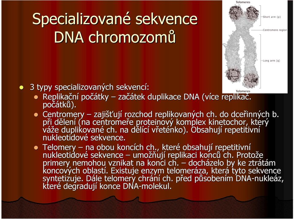 Obsahují repetitivní nukleotidové sekvence. Telomery na obou koncích ch., které obsahují repetitivní nukleotidové sekvence umožňují replikaci konců ch.