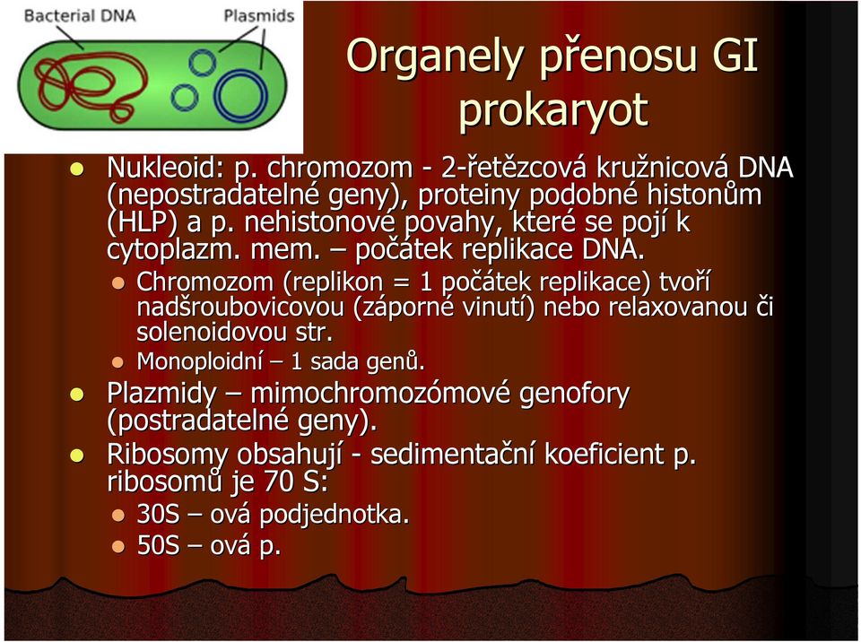 nehistonové povahy, které se pojí k cytoplazm. mem. počátek replikace DNA.