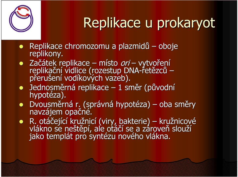 Jednosměrná replikace 1 směr (původní hypotéza). Dvousměrná r.