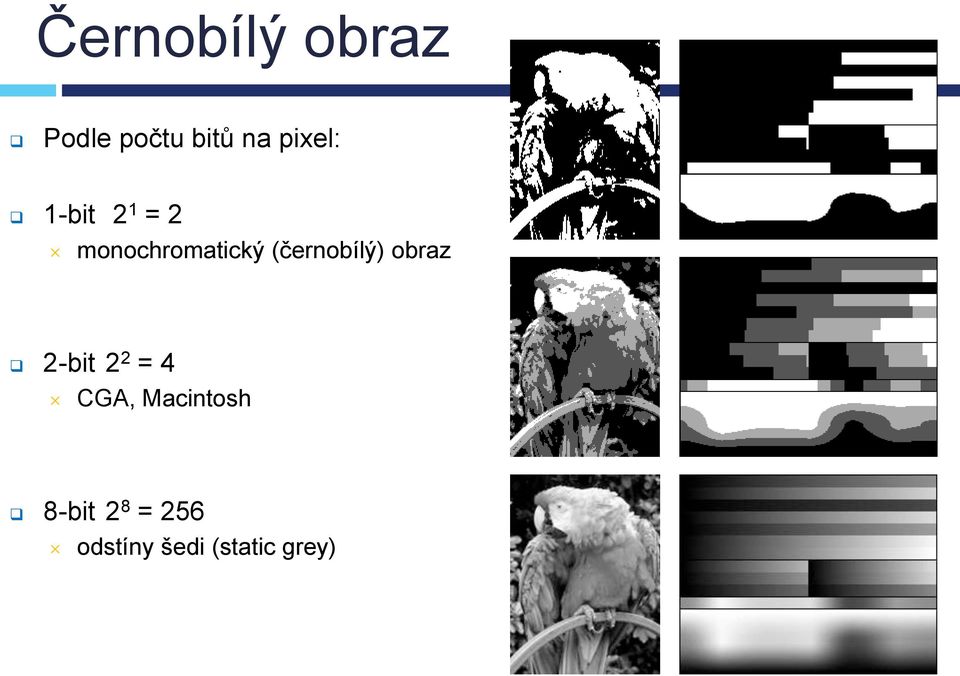 (černobílý) obraz 2-bit 2 2 = 4 CGA,