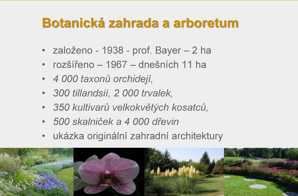 orchidejí, 300 tillandsií, 2 000 trvalek, 350 kultivarů