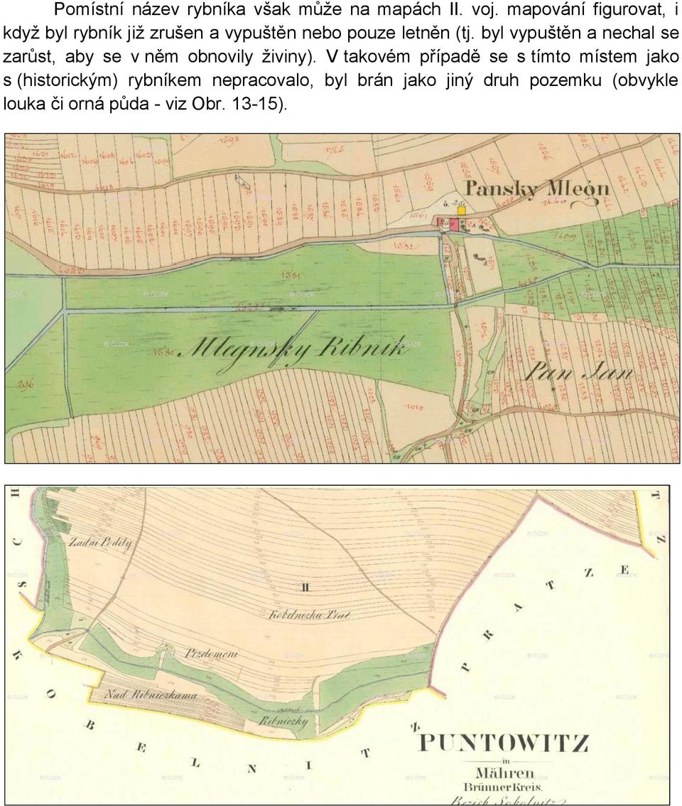 byl vypuštěn a nechal se zarůst, aby se v něm obnovily živiny).