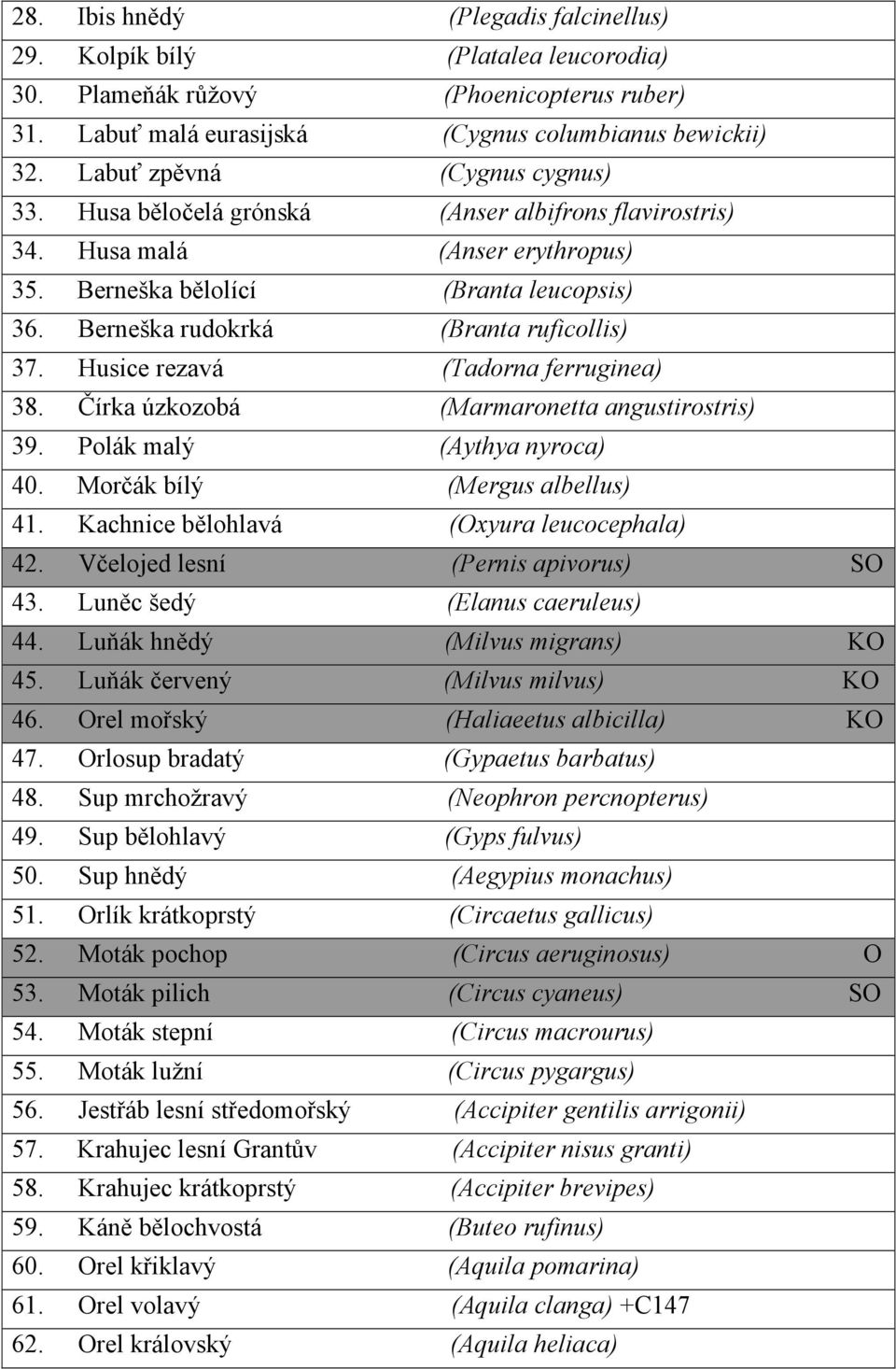 Berneška rudokrká (Branta ruficollis) 37. Husice rezavá (Tadorna ferruginea) 38. Čírka úzkozobá (Marmaronetta angustirostris) 39. Polák malý (Aythya nyroca) 40. Morčák bílý (Mergus albellus) 41.