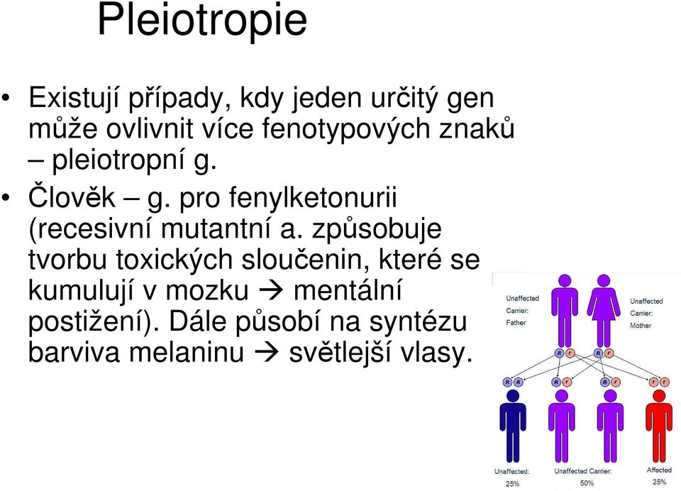 pro fenylketonurii (recesivní mutantní a.