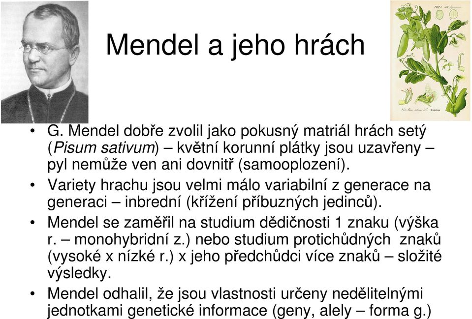 (samooplození). Variety hrachu jsou velmi málo variabilní z generace na generaci inbrední (křížení příbuzných jedinců).