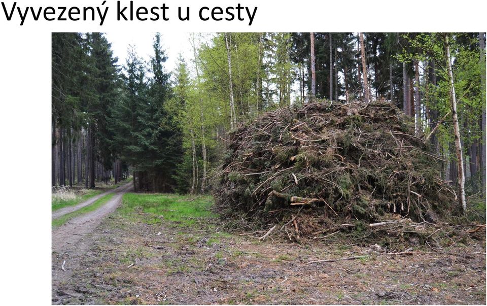 cesty