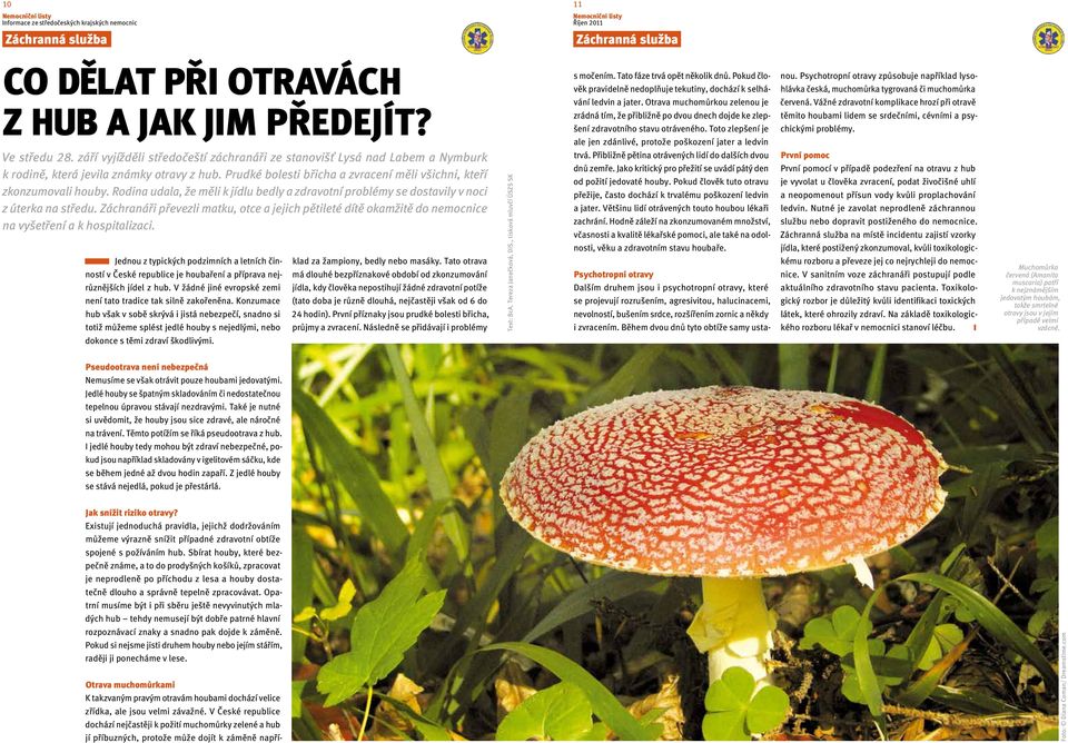 Toto zlepšení je nou. Psychotropní otravy způsobuje například lysohlávka česká, muchomůrka tygrovaná či muchomůrka červená.
