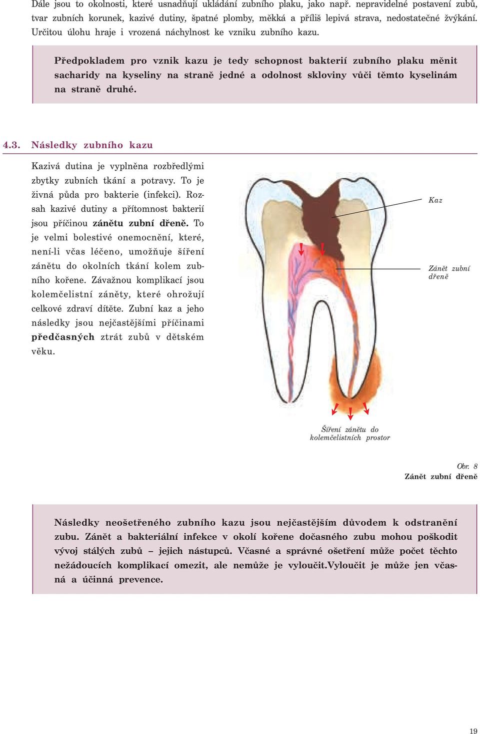 Předpokladem pro vznik kazu je tedy schopnost bakterií zubního plaku měnit sacharidy na kyseliny na straně jedné a odolnost skloviny vůči těmto kyselinám na straně druhé. 4.3.