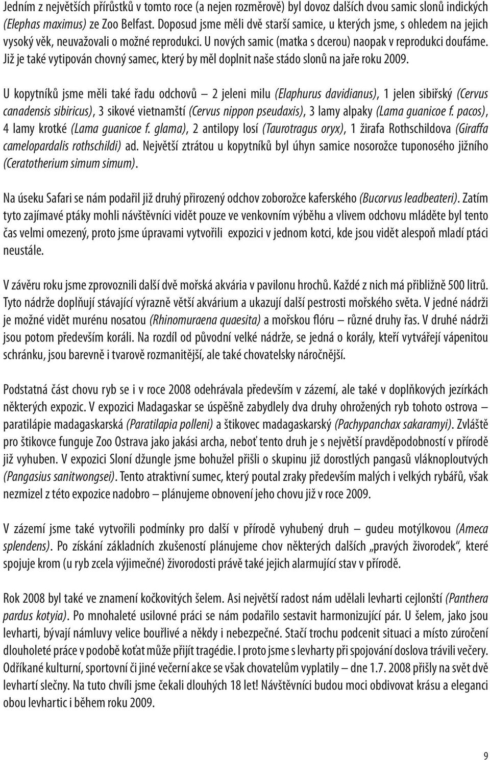 Již je také vytipován chovný samec, který by měl doplnit naše stádo slonů na jaře roku 2009.