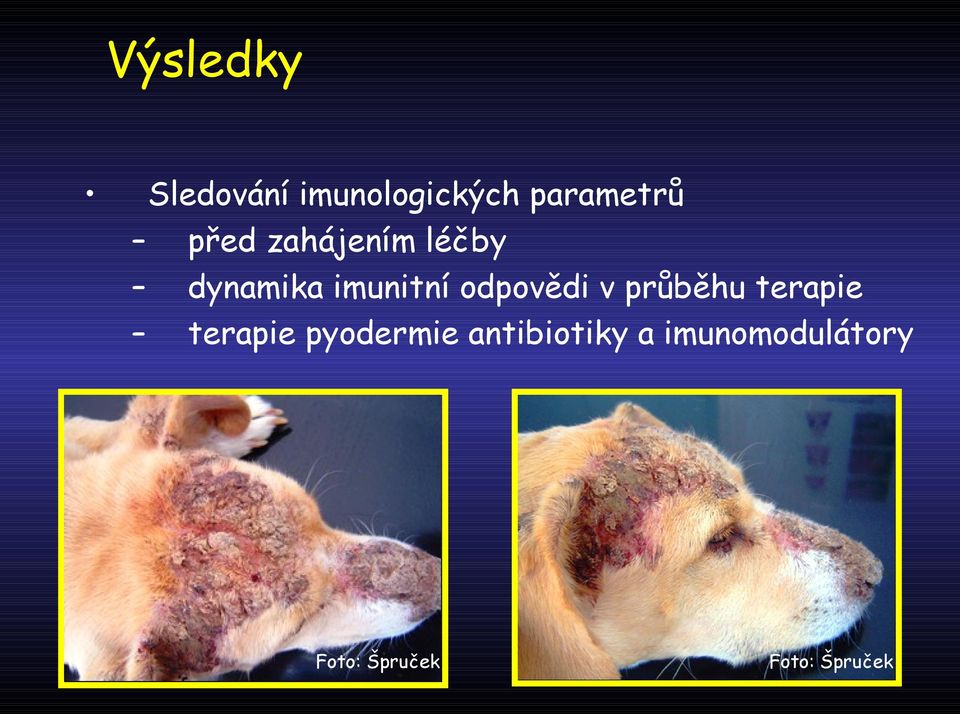 odpovědi v průběhu terapie terapie pyodermie