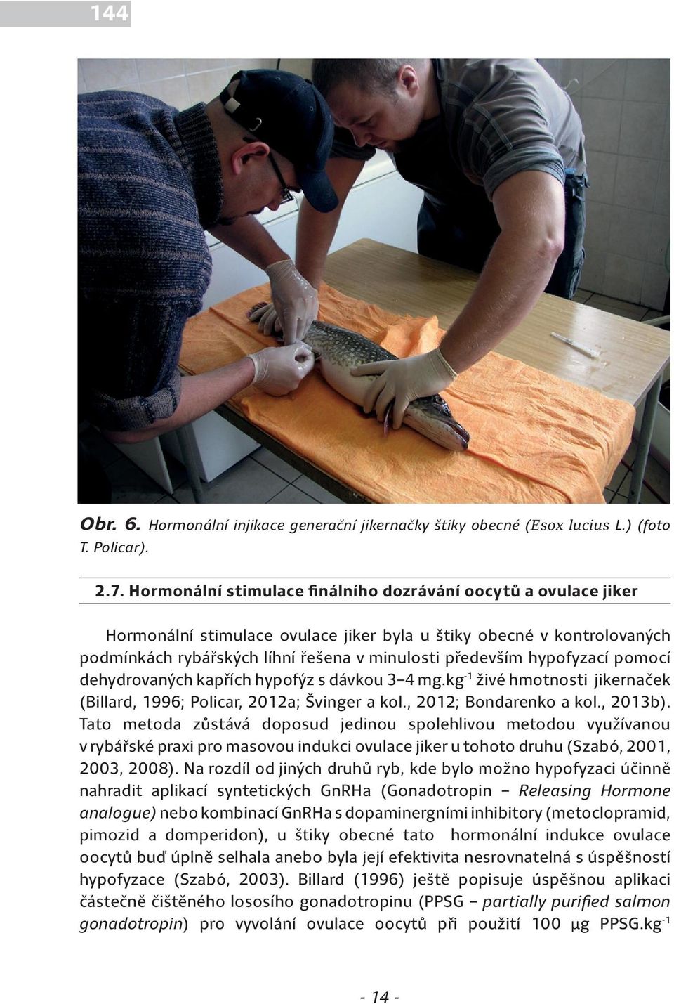 hypofyzací pomocí dehydrovaných kapřích hypofýz s dávkou 3 4 mg.kg -1 živé hmotnosti jikernaček (Billard, 1996; Policar, 2012a; Švinger a kol., 2012; Bondarenko a kol., 2013b).