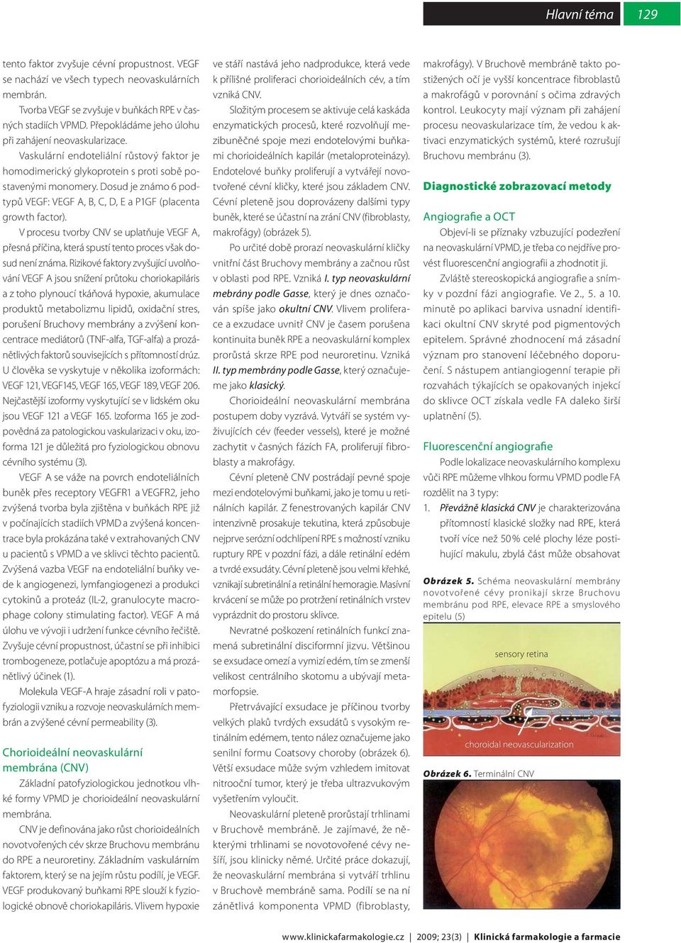 Dosud je známo 6 podtypů VEGF: VEGF A, B, C, D, E a P1GF (placenta growth factor). V procesu tvorby CNV se uplatňuje VEGF A, přesná příčina, která spustí tento proces však dosud není známa.