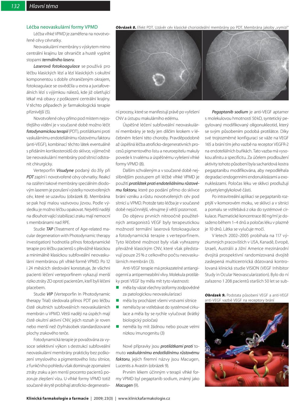 Laserová fotokoagulace se používá pro léčbu klasických lézí a lézí klasických s okultní komponentou s dobře ohraničeným okrajem, fotokoagulace se osvědčila u extra a juxtafoveálních lézí s výjimkou