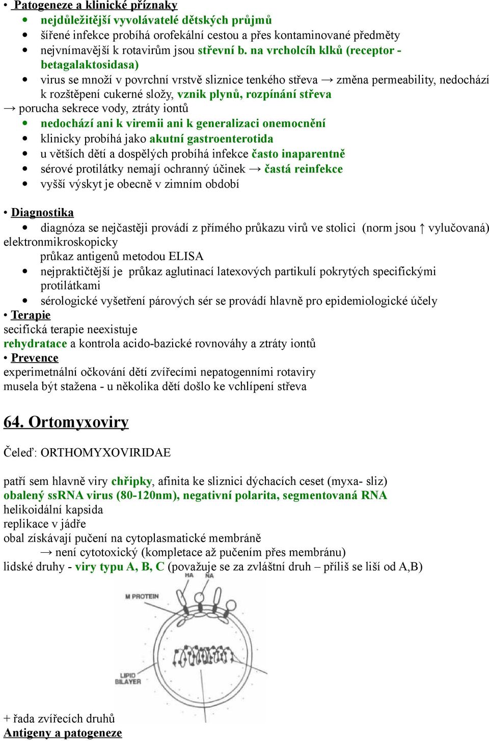 porucha sekrece vody, ztráty iontů nedochází ani k viremii ani k generalizaci onemocnění klinicky probíhá jako akutní gastroenterotida u větších dětí a dospělých probíhá infekce často inaparentně