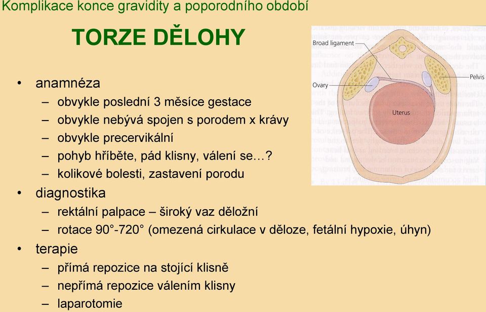 kolikové bolesti, zastavení porodu diagnostika rektální palpace široký vaz děložní rotace 90-720 (omezená