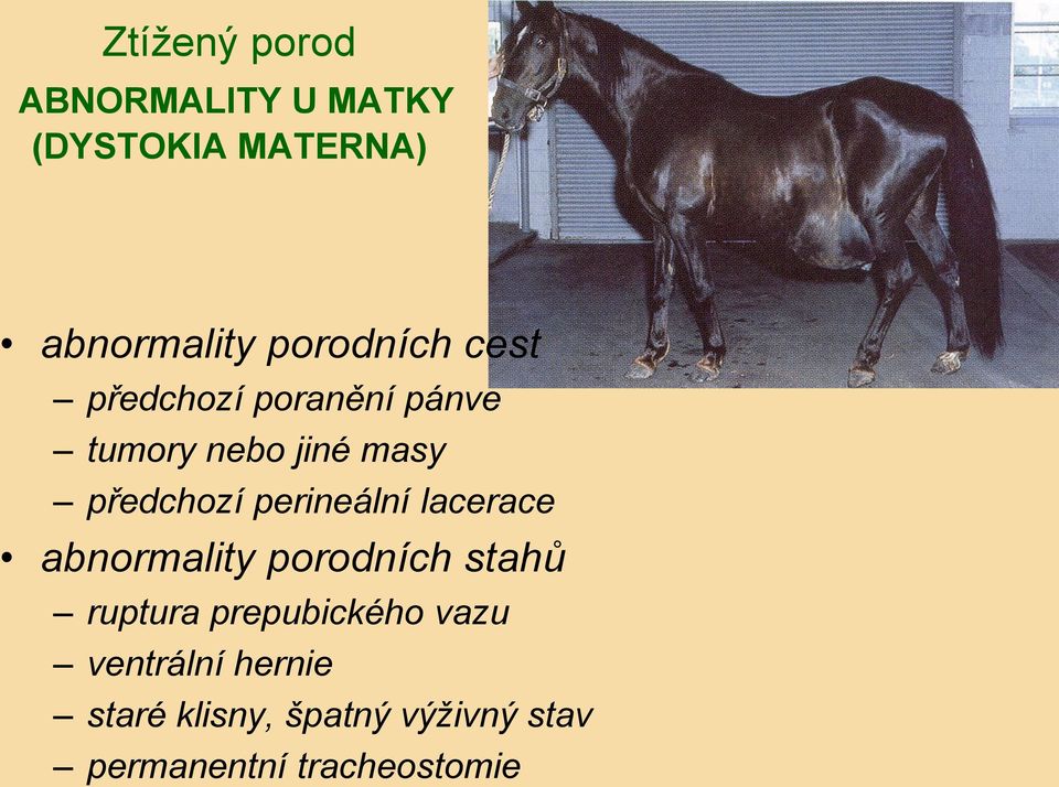 perineální lacerace abnormality porodních stahů ruptura prepubického