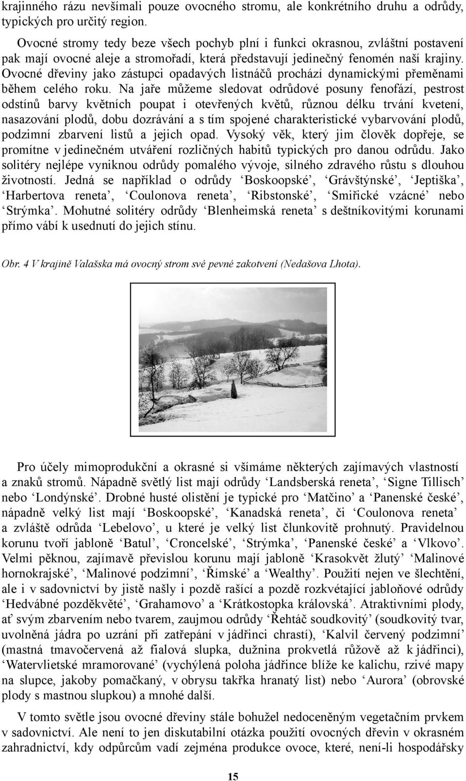 Ovocné dřeviny jako zástupci opadavých listnáčů prochází dynamickými přeměnami během celého roku.