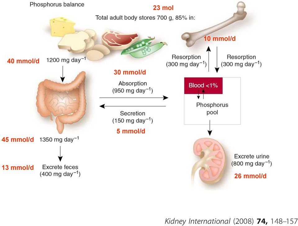 mmol/d 45 mmol/d 5