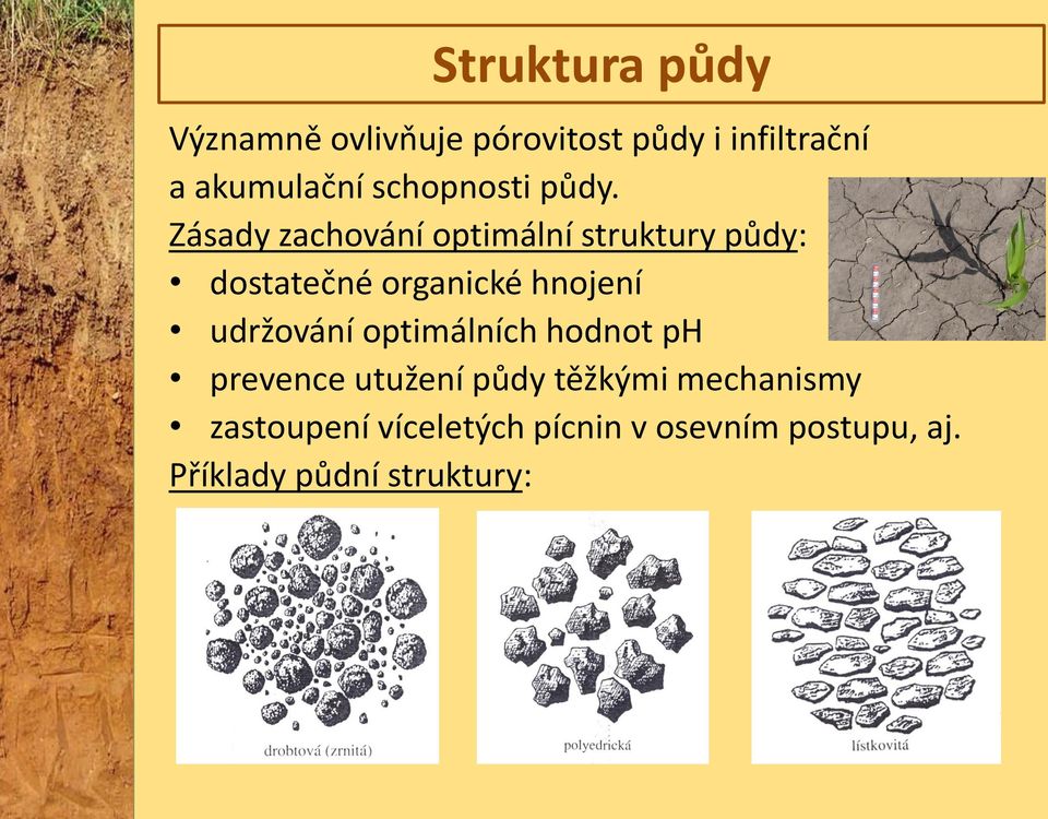 Zásady zachování optimální struktury půdy: dostatečné organické hnojení