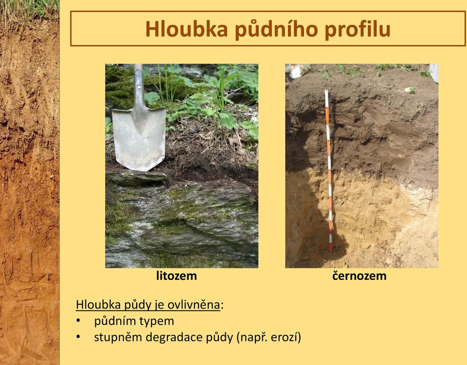 je ovlivněna: půdním typem