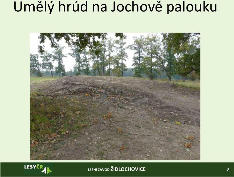 Jochově